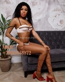 Анкета проститутки Ангелина - метро Гагаринский, возраст - 21