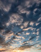 Анкета проститутки Ксения - метро Южное Бутово, возраст - 22